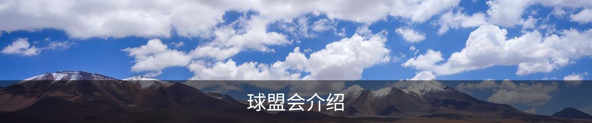 球盟会介绍